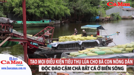 Tạo mọi điều kiện tiêu thụ lúa