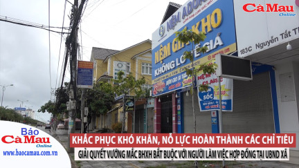 Khắc phục khó khăn, nỗ lực hoàn thành các chỉ tiêu