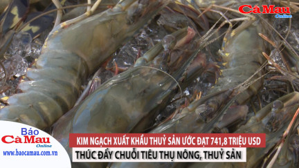 Kết nối, thúc đẩy tiêu thụ nông, thuỷ sản