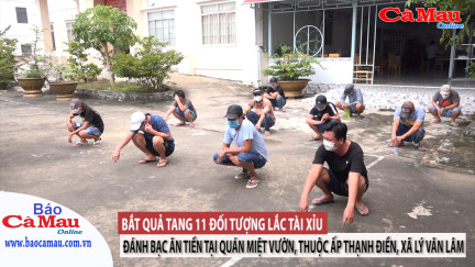 Bắt quả tang 11 đối tượng lắc tài xỉu