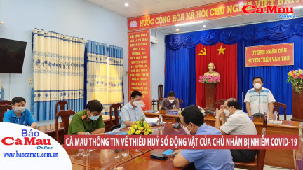 Cà Mau thông tin về thiêu huỷ số động vật của chủ nhân bị nhiễm Covid-19