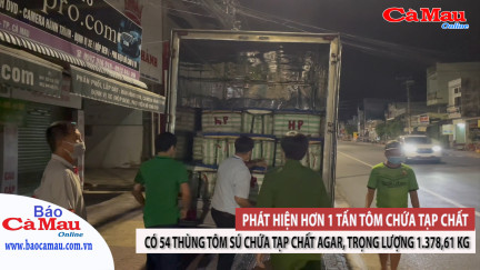 Phát hiện hơn 1 tấn tôm chứa tạp chất