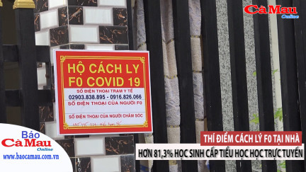 Bản tin báo Cà Mau điện tử, ngày 26 tháng 11 năm 2021