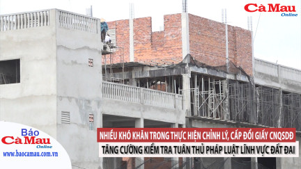 Chuyên mục Thông tin pháp luật, ngày 30 tháng 11 năm 2021