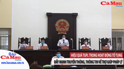 Hiệu quả TGPL trong hoạt động tố tụng