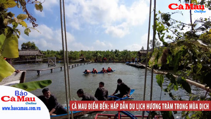 Cà Mau điểm đến: Hấp dẫn du lịch Hương Tràm trong mùa dịch