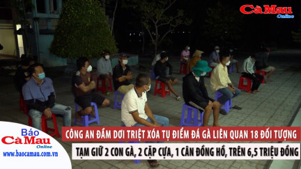 Công an Đầm Dơi triệt xóa tụ điểm đá gà liên quan 18 đối tượng