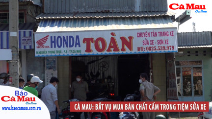 Cà Mau: bắt vụ mua bán chất cấm trong tiệm sửa xe