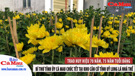 Bản tin báo Cà Mau điện tử, ngày 28 tháng 1 năm 2022