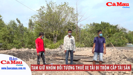 Tạm giữ nhóm đối tượng thuê xe tải đi trộm cắp tài sản