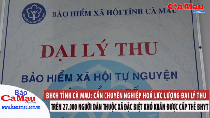 BHXH tỉnh Cà Mau: Cần chuyên nghiệp hoá lực lượng đại lý thu