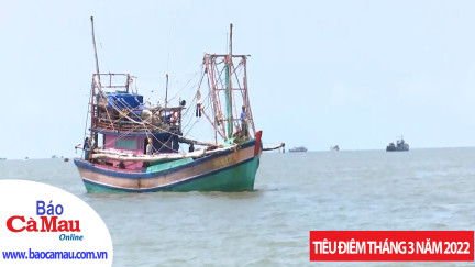 Tiêu điểm: Khát vọng làm giàu từ biển
