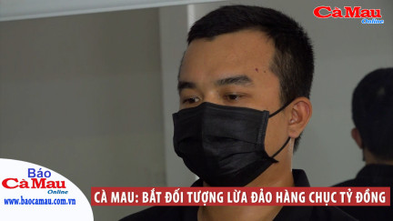 Cà Mau: Bắt đối tượng lừa đảo hàng chục tỷ đồng