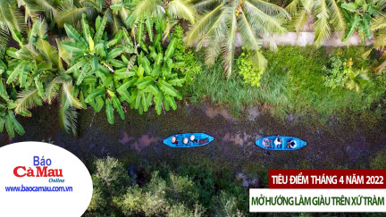 Tiêu điểm: Mở hướng làm giàu trên xứ tràm