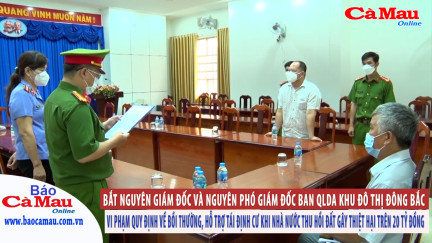 Bắt nguyên Giám đốc và nguyên Phó Giám đốc Ban QLDA khu đô thị Đông Bắc