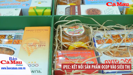 iPEC: Kết nối sản phẩm OCOP vào siêu thị