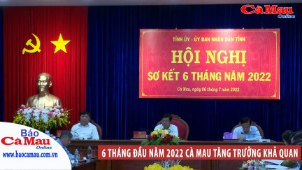 6 tháng đầu năm 2022 Cà Mau tăng trưởng khả quan