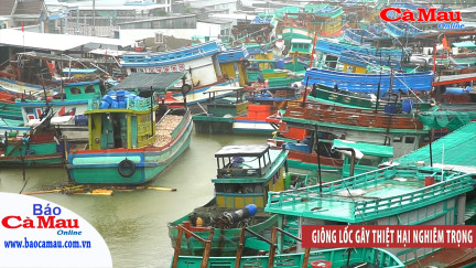 Giông lốc gây thiệt hại nghiêm trọng