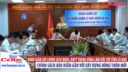 BHXH tỉnh Cà Mau: Đoàn giám sát chính sách BHXH, BHYT Trung ương làm việc với tỉnh Cà Mau