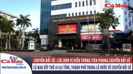 Chuyển đổi số: Các đơn vị viễn thông tiên phong chuyển đổi số