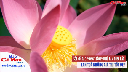 Phụ nữ Cà Mau học tập và làm theo Bác
