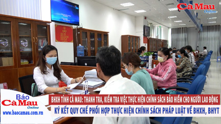 BHXH tỉnh Cà Mau: Thanh tra, kiểm tra việc thực hiện chính sách bảo hiểm cho người lao động