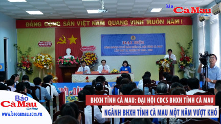 BHXH tỉnh Cà Mau: Ngành BHXH tỉnh Cà Mau một năm vượt khó