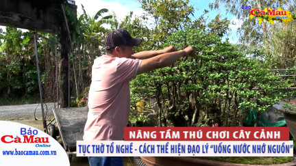 Chương trình mùng 3 Tết