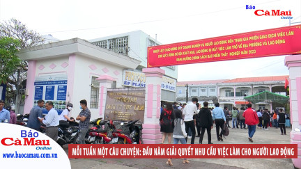 Mỗi tuần một câu chuyện: Đầu năm giải quyết nhu cầu việc làm cho người lao động