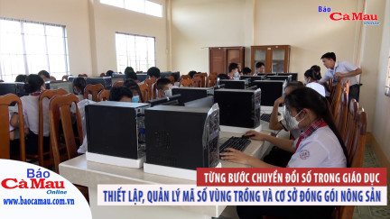 Từng bước chuyển đổi số trong giáo dục