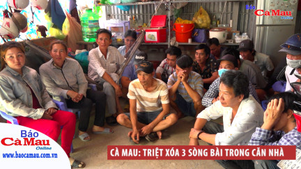 Cà Mau: Triệt xóa 3 sòng bài trong 1 căn nhà