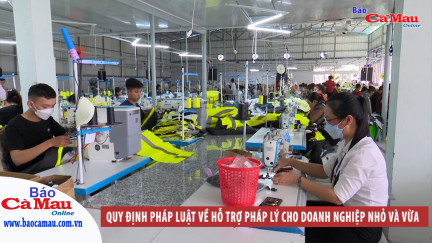 Quy định pháp luật về hỗ trợ pháp lý cho doanh nghiệp nhỏ và vừa