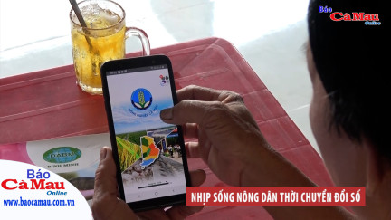 Nhịp sống nông dân thời chuyển đổi số