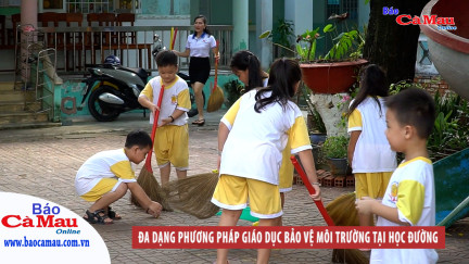 Đa dạng phương pháp giáo dục bảo vệ môi trường tại học đường