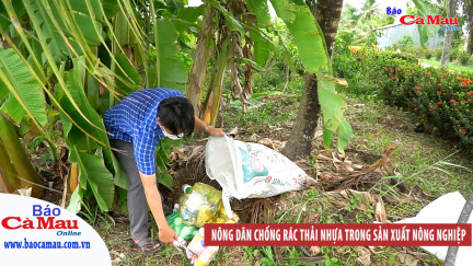 Nông dân chống rác thải nhựa trong sản xuất nông nghiệp