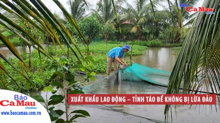 Xuất khẩu lao động – tỉnh táo để không bị lừa đảo