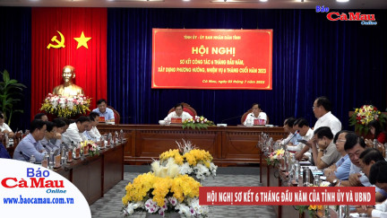 Hội nghị sơ kết 6 tháng đầu năm của Tỉnh ủy và UBND