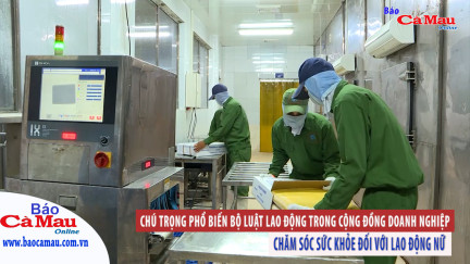 Chú trọng phổ biến Bộ luật Lao động trong cộng đồng doanh nghiệp