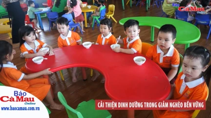 Cải thiện dinh dưỡng trong giảm nghèo bền vững