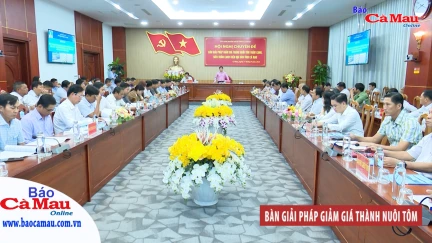 Bàn giải pháp giảm giá thành nuôi tôm