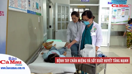 Bệnh tay chân miệng và sốt xuất huyết tăng mạnh