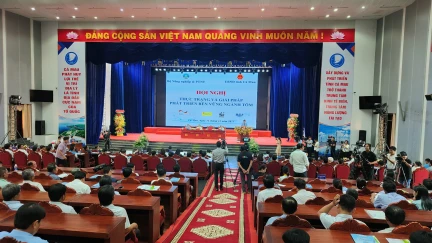Hội nghị thực trạng và giải pháp phát triển bền vững ngành tôm