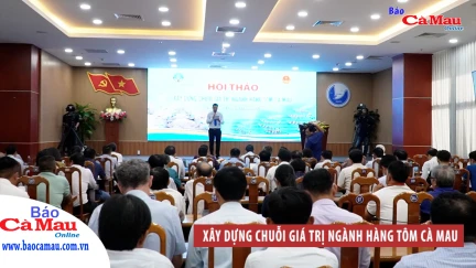 Xây dựng chuỗi giá trị ngành hàng tôm Cà Mau