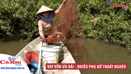 Vay vốn ưu đãi – nhiều phụ nữ thoát nghèo