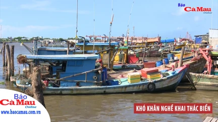 Khó khăn nghề khai thác biển