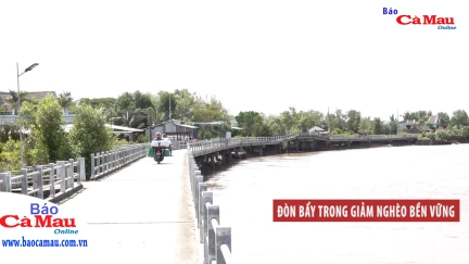 Đòn bẩy trong giảm nghèo bền vững