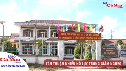 Tân Thuận nhiều nỗ lực trong giảm nghèo