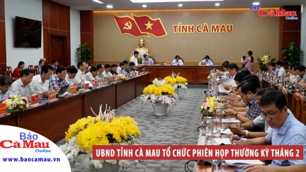 UBND tỉnh Cà Mau tổ chức phiên họp thường kỳ tháng 2