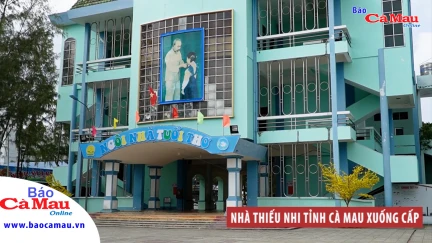 Nhà Thiếu nhi tỉnh Cà Mau xuống cấp