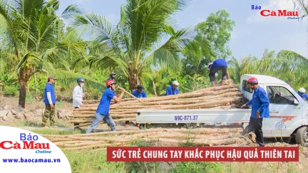 Sức trẻ chung tay khắc phục hậu quả thiên tai